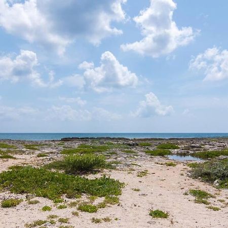 Ground Level Garden Condo At Akumal South By Tao Santamar Buitenkant foto