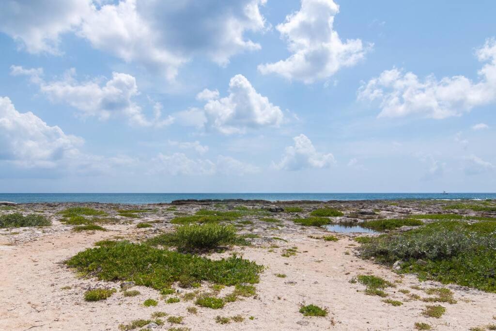 Ground Level Garden Condo At Akumal South By Tao Santamar Buitenkant foto